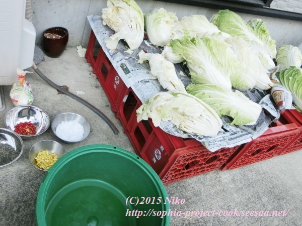 CIMG0561料理.jpg